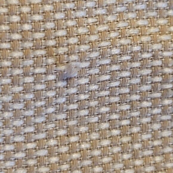 Kani Gold Boy's Dress Shirt Size 12 - Picture 6 of 7